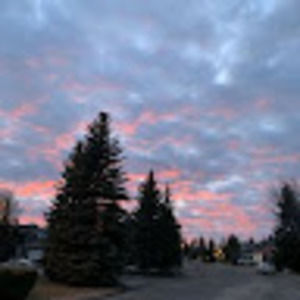 Meet your Posher, Renae